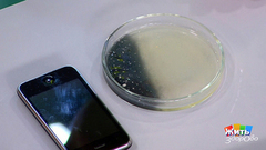 Санитарная инспекция дома. Жить здорово! Фрагмент выпуска от 30.07.2018