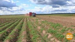 Урожая много не бывает. Доброе утро. Фрагмент выпуска от 29.08.2018