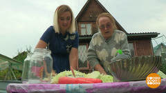 Капуста: выбрать и заквасить! Доброе утро. Фрагмент выпуска от 05.09.2018