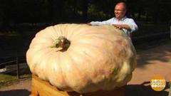 Здравствуй, тыква Дуся! Доброе утро. Фрагмент выпуска от 06.09.2018