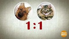 Пушистые селфи. Доброе утро. Фрагмент выпуска от 30.11.2018