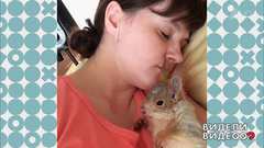 Совсем ручная белка. Видели видео? Фрагмент выпуска от 03.01.2019