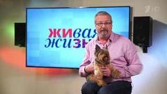 Тайная жизнь домашних животных с Алексеем Лысенковым. Витас и его собака. Живая жизнь. Фрагмент выпуска от 02.03.2019
