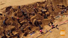 Ноев ковчег из песка. Доброе утро. Фрагмент выпуска от 06.05.2019