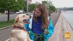 Где бы летом подработать? Доброе утро. Фрагмент выпуска от 16.05.2019