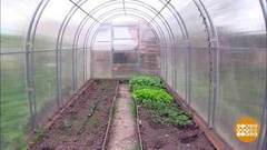 «Тепличный» налог: пора ломать фундамент?! Доброе утро. Фрагмент выпуска от 22.05.2019