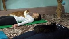 Что такое «котойога»?