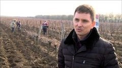 Виды на урожай