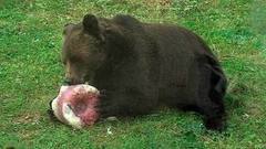 Мороженое для Умы и Топы. Доброе утро. Фрагмент выпуска от 15.08.2016