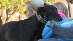 В мире. Забеги борзых. Доброе утро. Фрагмент выпуска от 09.09.2016