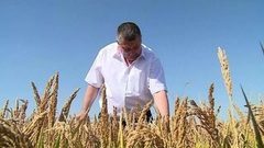 Миллион тонн риса! Доброе утро. Фрагмент выпуска от 20.09.2016