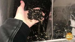 Продукты на развес: дешево, но вредно? Доброе утро. Фрагмент выпуска от 15.05.2017