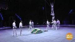 Фестиваль циркового искусства «Идол». Доброе утро. Фрагмент выпуска от 14.09.2017