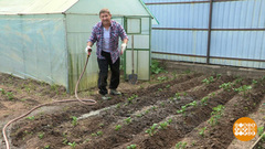Дмитрий Талабуев между грядок не упадет. Доброе утро. Фрагмент выпуска от 04.07.2018