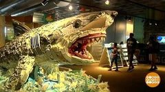 В мире. Морские чудища из мусора. Доброе утро. Фрагмент выпуска от 27.09.2018