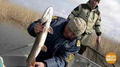 Рыба — на нерест, браконьеры — на рыбалку? Доброе утро. Фрагмент выпуска от 27.03.2019