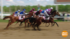 Скакуны вы мои, скакуны! Доброе утро. Фрагмент выпуска от 06.05.2019