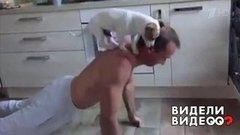 Четырехлапый фитнес-тренер. Видели видео? Фрагмент выпуска от 09.06.2019