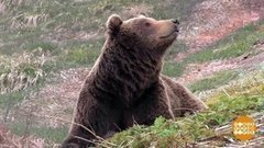 Аршином общим не измерить! Доброе утро. Фрагмент выпуска от 11.06.2019