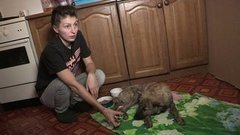 Человек собаке друг