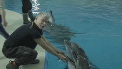 Олег Газманов спел с дельфинами песню «Мои ясные дни». Гости по воскресеньям. Не вошедшее в выпуск от 20.03.2016