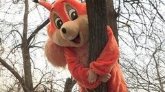 Помогите белочке! Доброе утро. Фрагмент выпуска от 01.04.2016