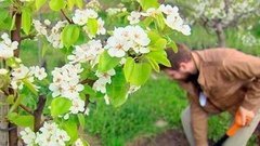 Удобрения для дачи. Доброе утро. Фрагмент выпуска от 17.05.2016