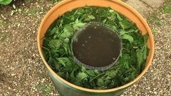 Удобрение в бочке. Доброе утро. Фрагмент выпуска от 07.06.2016