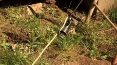 Удлинитель в помощь. Доброе утро. Фрагмент выпуска от 22.06.2016