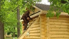 Идеальные бревна для идеального дома. Доброе утро. Фрагмент выпуска от 01.07.2016