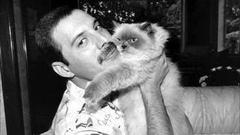 Фредди Меркьюри: The Show Must Go On! Доброе утро. Фрагмент выпуска от 05.09.2016