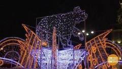 Зайчики, медведи и прочий новогодний антураж. Доброе утро. Фрагмент выпуска от 13.12.2016
