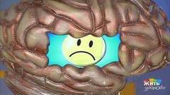 Три теста на здоровье для домохозяйки. Жить здорово! Фрагмент выпуска от 15.02.2017