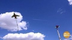 Воздушные змеи в небе на Воронежем. Доброе утро. Фрагмент выпуска от 24.04.2017