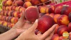 Персики и нектарины. Доброе утро. Фрагмент выпуска от 11.08.2017