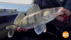 Особенности национальной рыбалки в осенний период. Доброе утро. Фрагмент выпуска от 27.10.2017