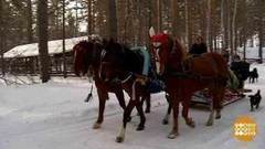Эх, тройка! Птица тройка… Доброе утро. Фрагмент выпуска от 01.02.2018
