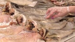 Пикша. Доброе утро. Фрагмент выпуска от 26.10.2015