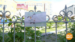 «Мы — за чистые площадки!» Доброе утро. Фрагмент выпуска от 17.07.2018