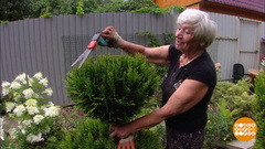 Дачные нормативы. Доброе утро. Фрагмент выпуска от 31.07.2018