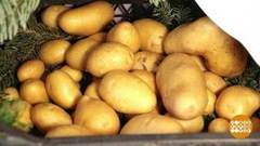 Как сохранить урожай. Доброе утро. Фрагмент выпуска от 23.08.2018