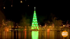 В мире. Плавающая ель. Доброе утро. Фрагмент выпуска от 17.12.2018