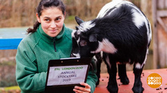 В мире. Подсчет зверей в зоопарке. Доброе утро. Фрагмент выпуска от 23.01.2019
