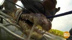 В мире. Охотник за крокодилами. Доброе утро. Фрагмент выпуска от 31.01.2019