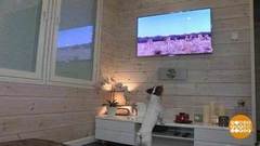 Телевидение будущего — уже здесь! Доброе утро. Фрагмент выпуска от 14.02.2019