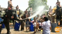 В мире. Национальный день слонов. Доброе утро. Фрагмент выпуска от 13.03.2019