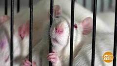 Пятнадцать белых Бусинок. Доброе утро. Фрагмент выпуска от 13.03.2019