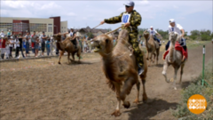 На верблюдах — с ветерком! Доброе утро. Фрагмент выпуска от 27.05.2019