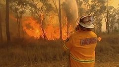 В мире. Лесные пожары. Доброе утро. Фрагмент выпуска от 30.11.2015