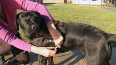 В мире. Международный день инвалидов. Доброе утро. Фрагмент выпуска от 03.12.2015